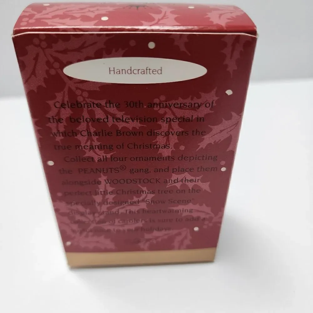 Hallmark Charlie Brown from Peanuts A Charlie Brown Christmas Keepsake Ornament